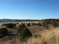  West Coast - Photo Nr: 1117