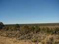  West Coast - Photo Nr: 1120