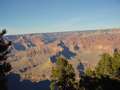  West Coast - Photo Nr: 1126