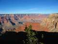 West Coast - Photo Nr: 1129