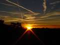  West Coast - Photo Nr: 1137