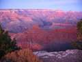  West Coast - Photo Nr: 1141