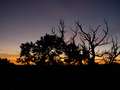  West Coast - Photo Nr: 1142