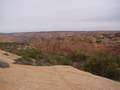  West Coast - Photo Nr: 1154