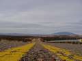  West Coast - Photo Nr: 1156