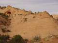  West Coast - Photo Nr: 1161