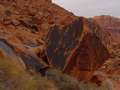  West Coast - Photo Nr: 1170