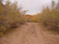  West Coast - Photo Nr: 1171