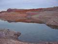  West Coast - Photo Nr: 1173