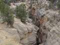  West Coast - Photo Nr: 1182