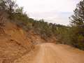  West Coast - Photo Nr: 1185