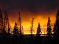  West Coast - Photo Nr: 1206