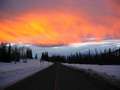  West Coast - Photo Nr: 1207