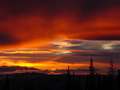  West Coast - Photo Nr: 1209
