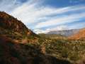  West Coast - Photo Nr: 1217