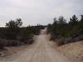  West Coast - Photo Nr: 1218