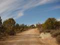  West Coast - Photo Nr: 1219