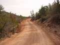  West Coast - Photo Nr: 1220