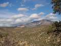 West Coast - Photo Nr: 1223