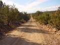  West Coast - Photo Nr: 1224