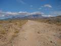  West Coast - Photo Nr: 1225