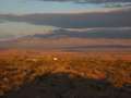  West Coast - Photo Nr: 1231
