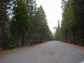  West Coast - Photo Nr: 1239