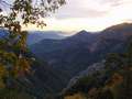  West Coast - Photo Nr: 1240