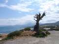  Kreta - Photo Nr: 1007