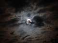  Mond - Photo Nr: 1003