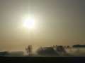  Nebel - Photo Nr: 1001