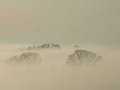  Nebel - Photo Nr: 1002
