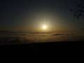  Nebel - Photo Nr: 1003