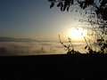  Nebel - Photo Nr: 1004
