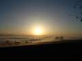  Nebel - Photo Nr: 1005