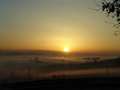  Nebel - Photo Nr: 1011