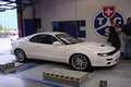  3. GT4 Dyno Day - Biel - 8. Mai 2004 - Photo Nr: 1018