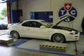  3. GT4 Dyno Day - Biel - 8. Mai 2004 - Photo Nr: 1085