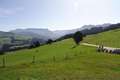  Emmental-Ausfahrt - Schallenberg - 30. August 2009 - Photo Nr: 1024