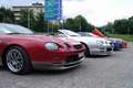  Celica Meeting - Berner Oberland - 5. Juli 2009 - Photo Nr: 1018