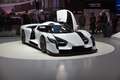  Autosalon - Genf - 9. - 19. März 2017 - Photo Nr: 1070