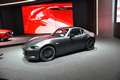  Autosalon - Genf - 9. - 19. März 2017 - Photo Nr: 1079