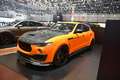  Autosalon - Genf - 9. - 19. März 2017 - Photo Nr: 1124
