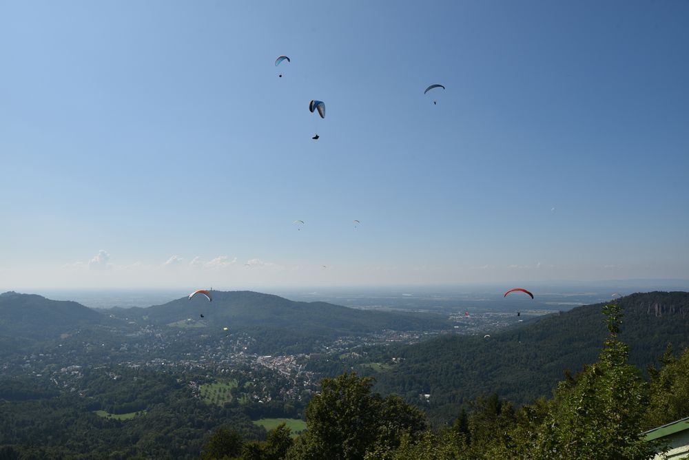 GT FOUR Meeting 2019