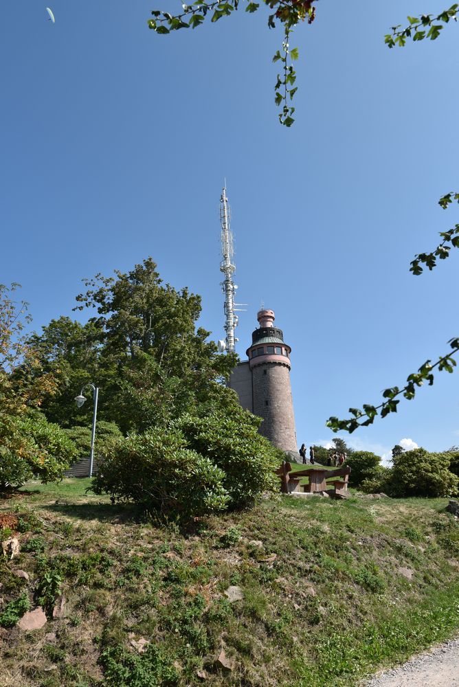 GT FOUR Meeting 2019