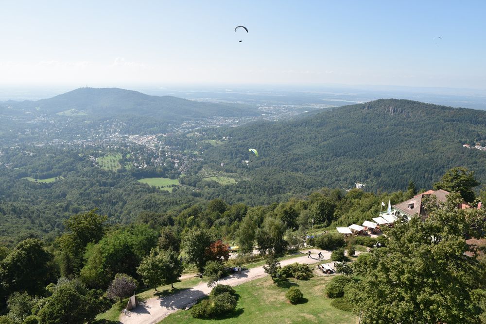 GT FOUR Meeting 2019