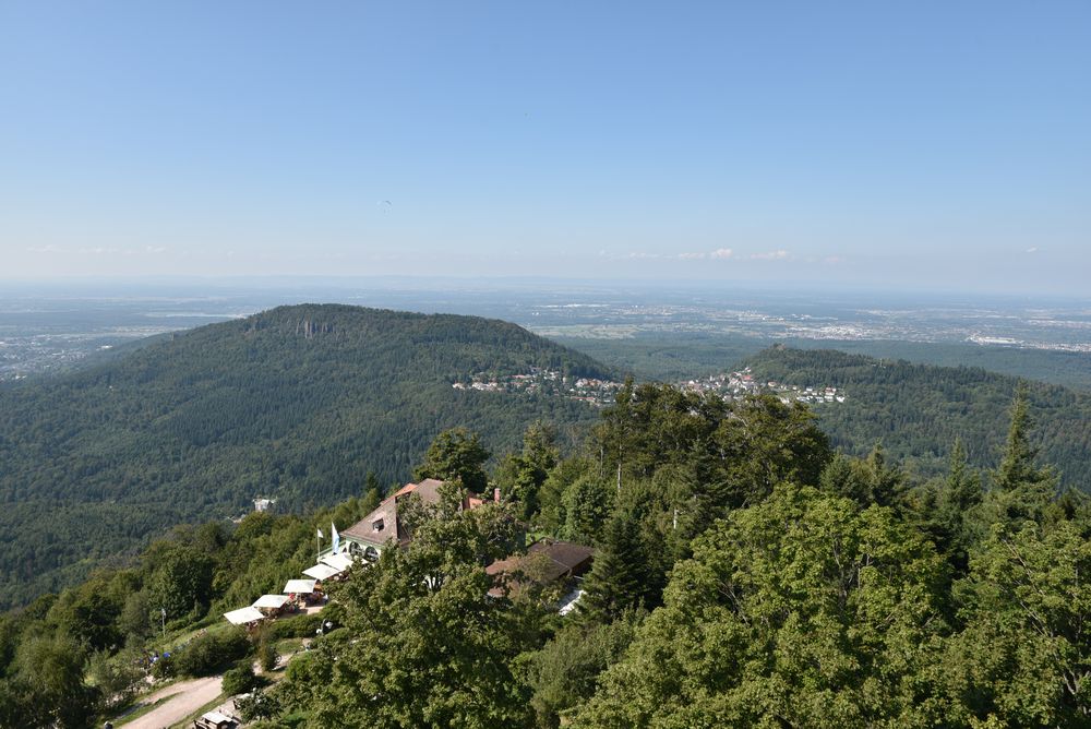 GT FOUR Meeting 2019