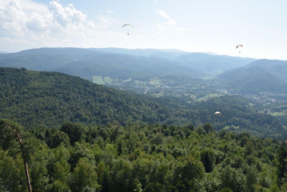 GT FOUR Meeting 2019