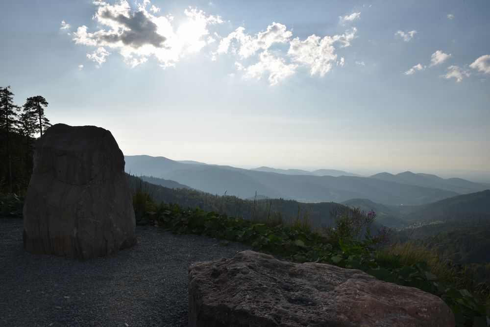 GT FOUR Meeting 2019